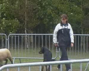 noeux les mines cant duna