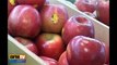 Les fruits et légumes français plus chers que les importations