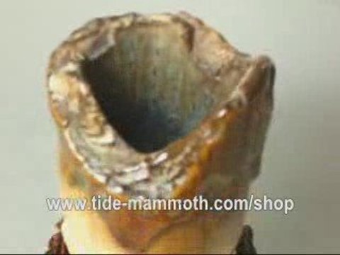 mammoth ivory tusk carving GROUP OF RABBITS 37226