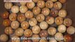 mammoth ivory round beads handcrafted 12mm to 20mm