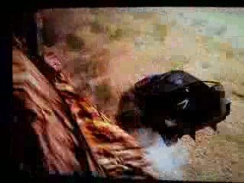 colin Mcrae dirt 2 enorme crash en subaru WRX