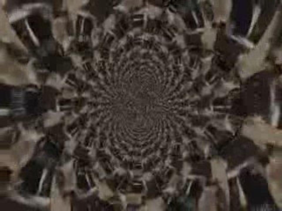 Vive la Fête - Nuit Blanche