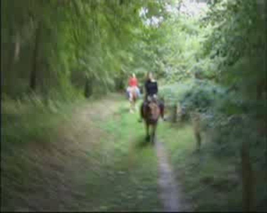 octobre01 2009 balade a cheval avec helene poulette et moi