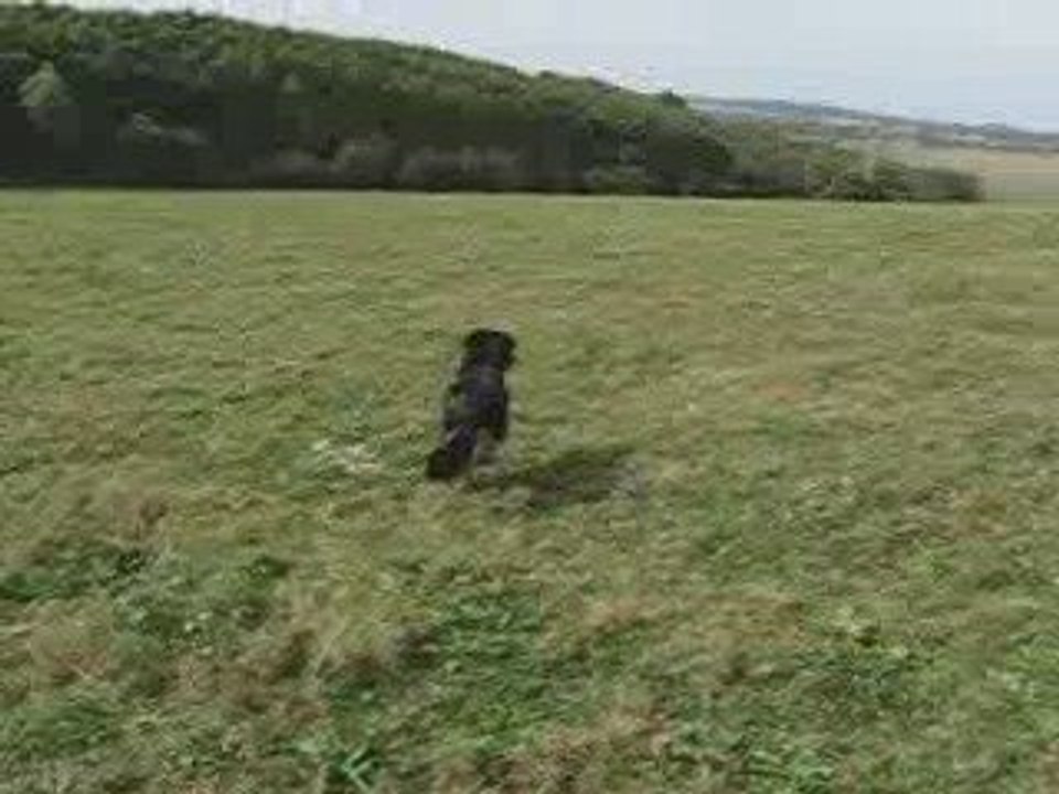 zyon fait sa grosse voix