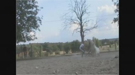 les roulages de Romy