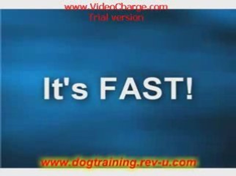 Secrets to Dog Training: STOP Dog Behavior Problems