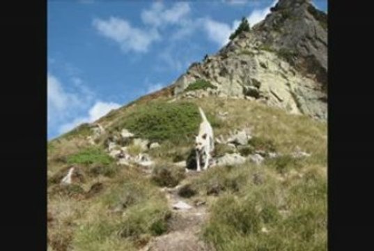 randonnée pyrennees