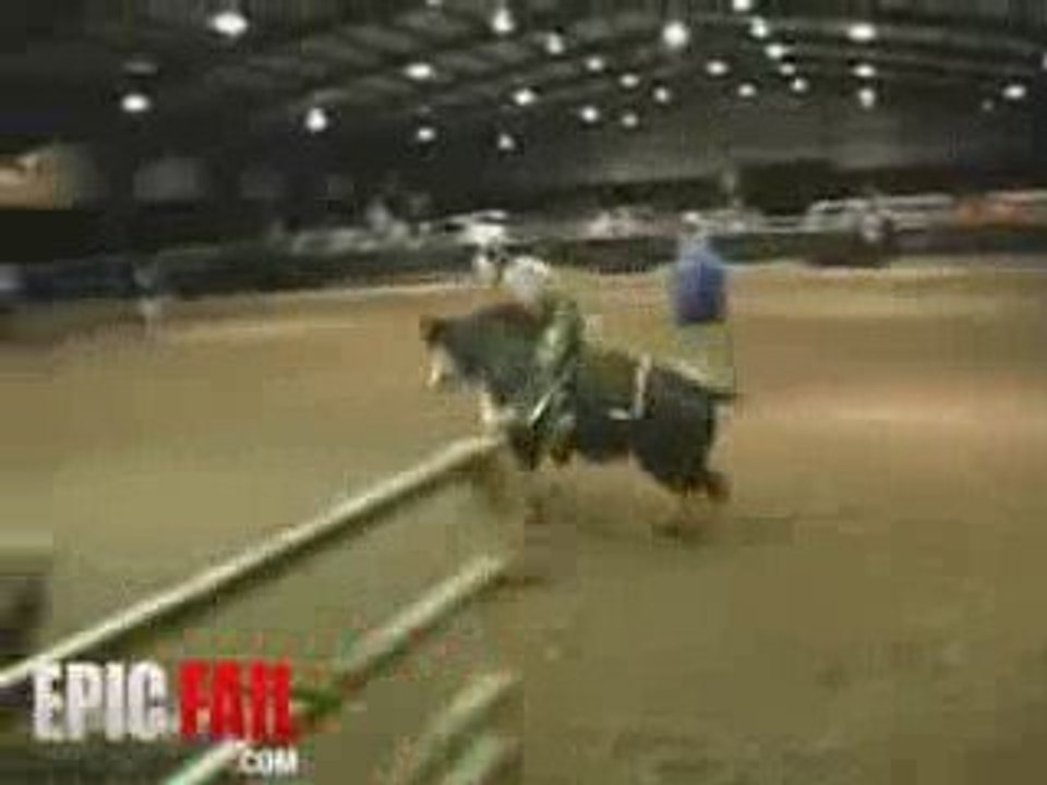 Epic Bull Fail