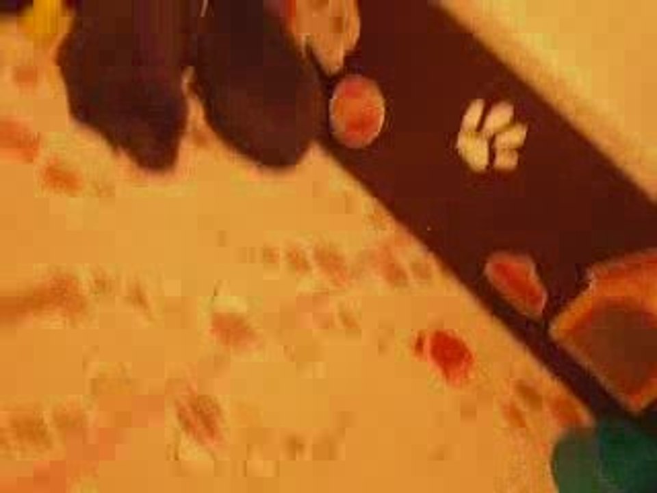 DSCN4486