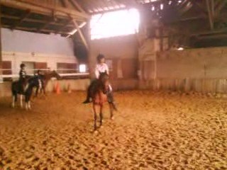 Cour d'équitation