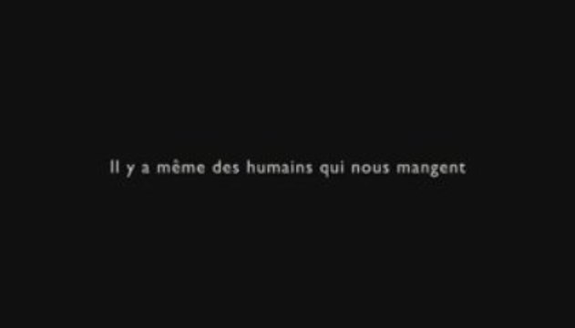 Journée Mondiale des animaux 2009