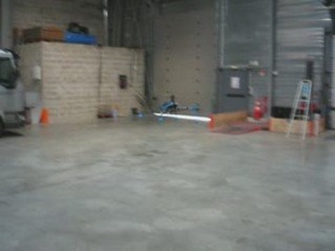 Mes Debuts en Honey Bee King 3