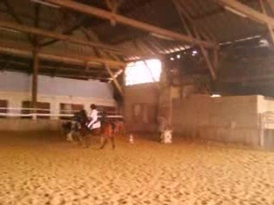 Cour d'équitation