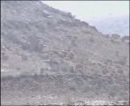الحوثيون ..هجوم ساحق للجيش على أوكار الارهابيين الحوثيين 1
