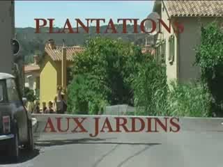Plantation aux jardins familiaux