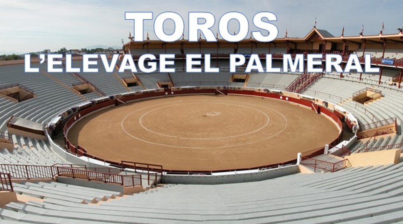 TOROS Elevage El Palmeral 2005
