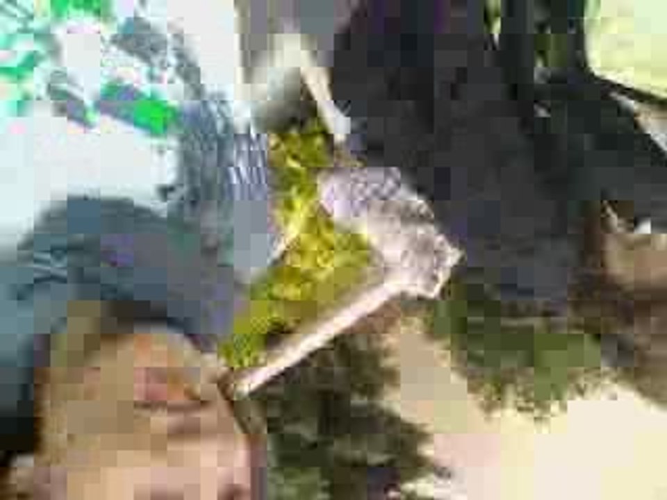 091002141748