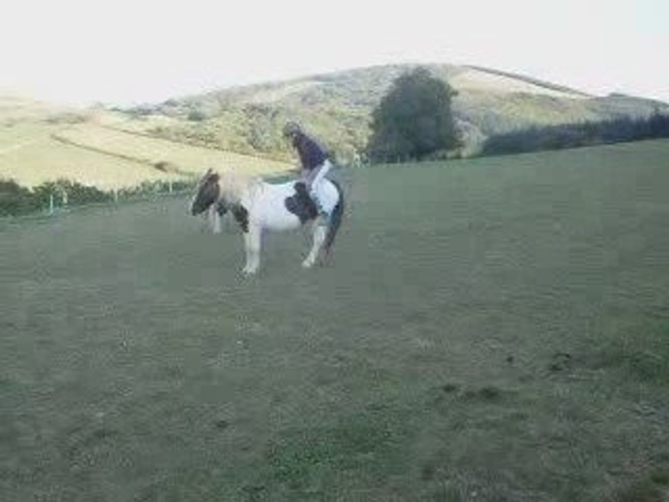 Quand on s  'amuse ....