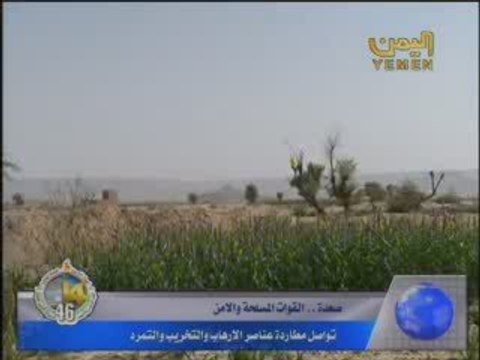 الحوثيون يتكبدون مزيدا من الخسائر والتقهقر امام ضربات الجيش