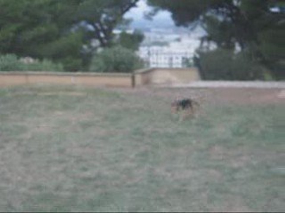 Les debut d'élia en oberythmee