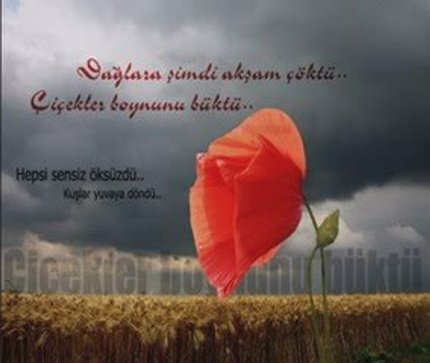 Nilüfer - Seni Beklerim Öptüğün Yerde (www.ineboluda.com)