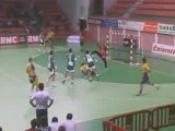 Nîmes tombe face à St-Raphaël (Coupe de la ligue handball)