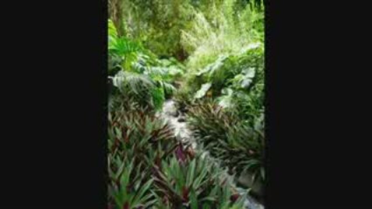 REPORTAGE PHOTO guadeloupe