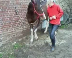 octobre07 2009 debut jambette