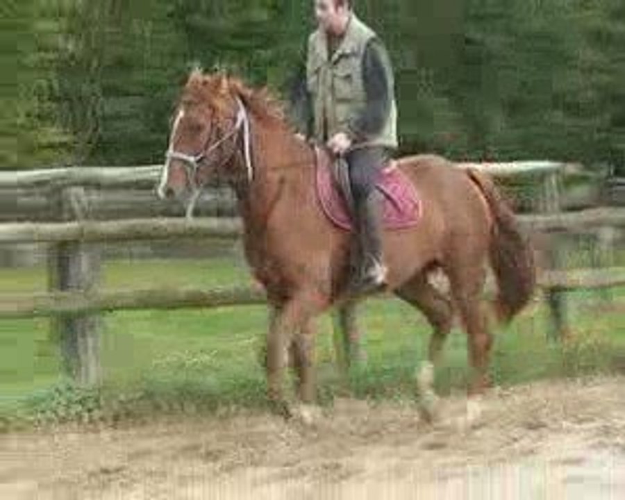 ROMEO_D'AUBRAC