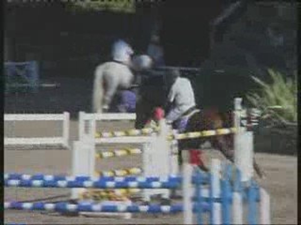 EC WOHLAN