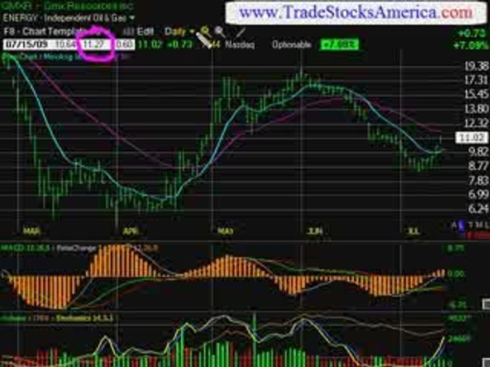 Stock Trading Idea Newsletter