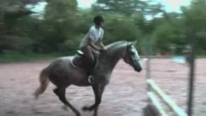 Benjamin sur Queyzac - Galops 5 à 7 - 20 09 09