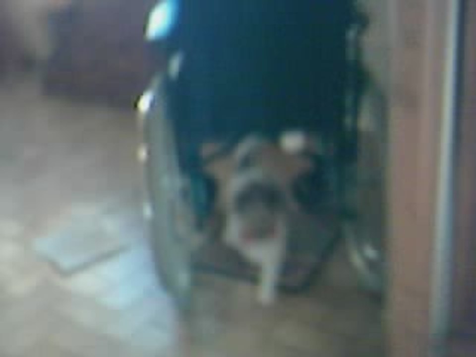 Loula ''va chercher''