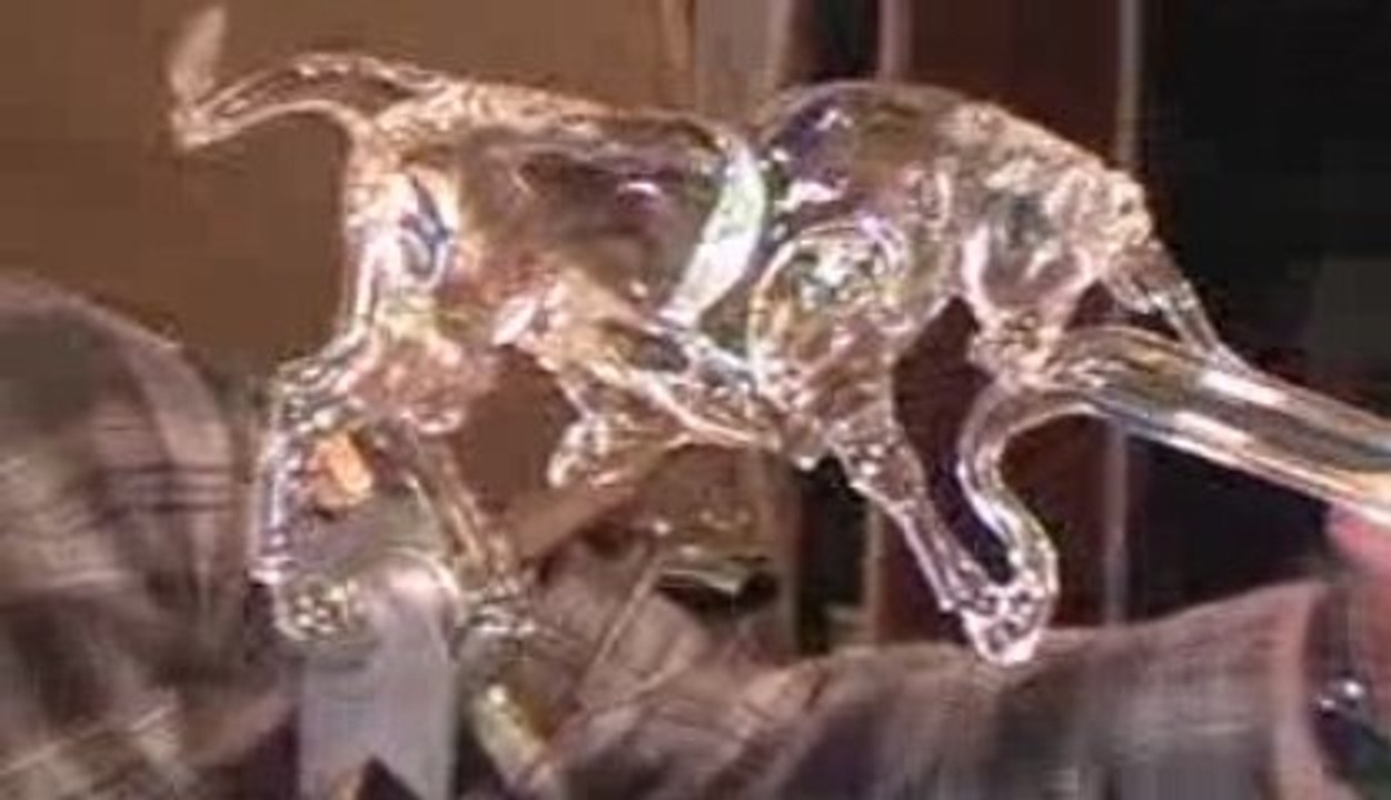 Eddie Legus maître verrier, Meilleur Ouvrier de France