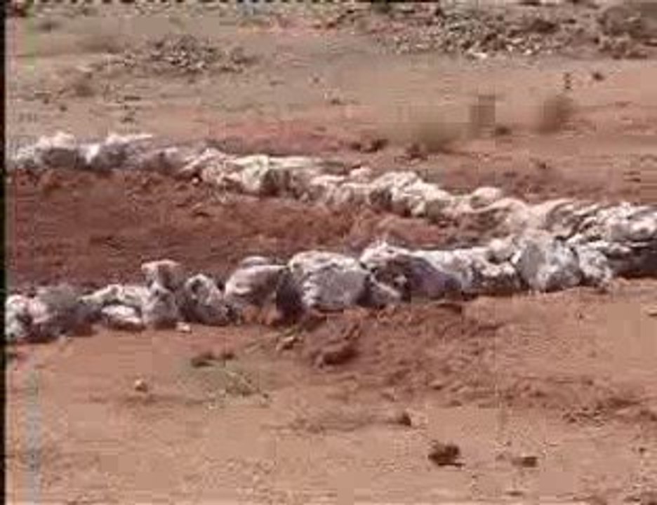 مشروع ادارة البيئة في المؤسسة التعليمية اعدادية الوفاء تنغير