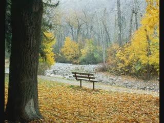 kaçış, (balığım)  -olcay dogan