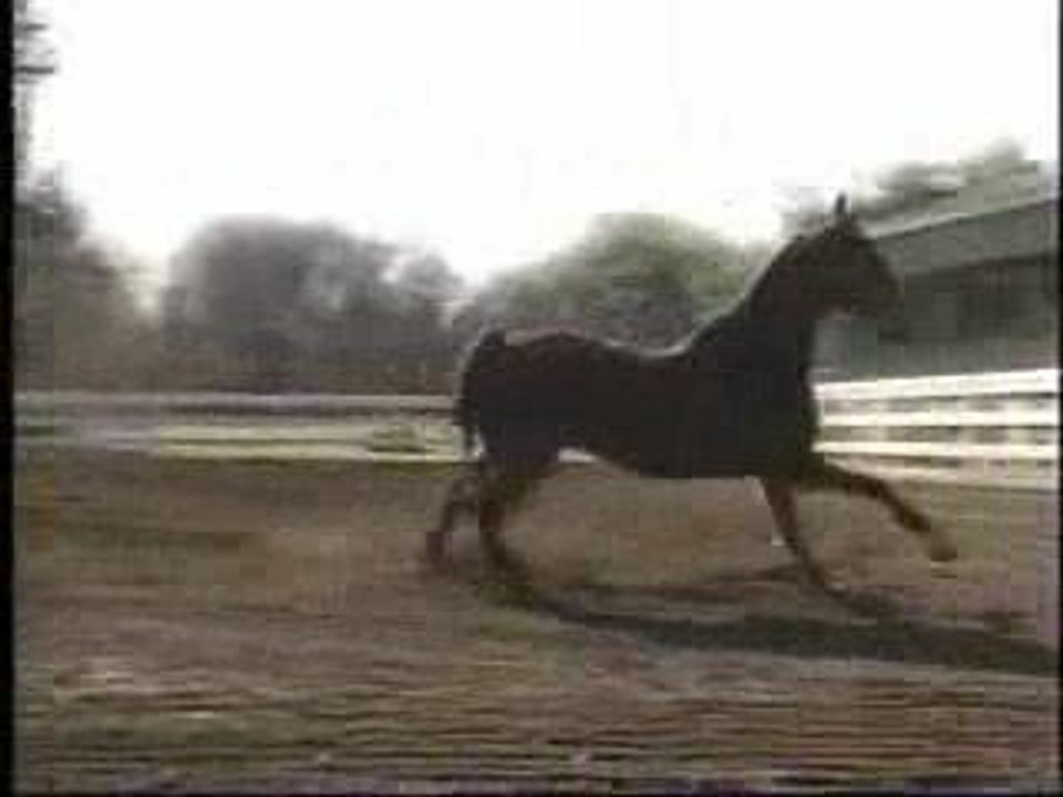 2002 HCOI Fluff