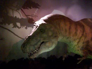 museum d'histoire naturelle de londres 1