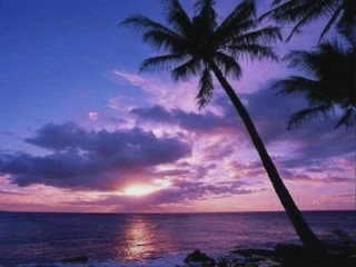 dédier à athena19 une amie au grand coeur