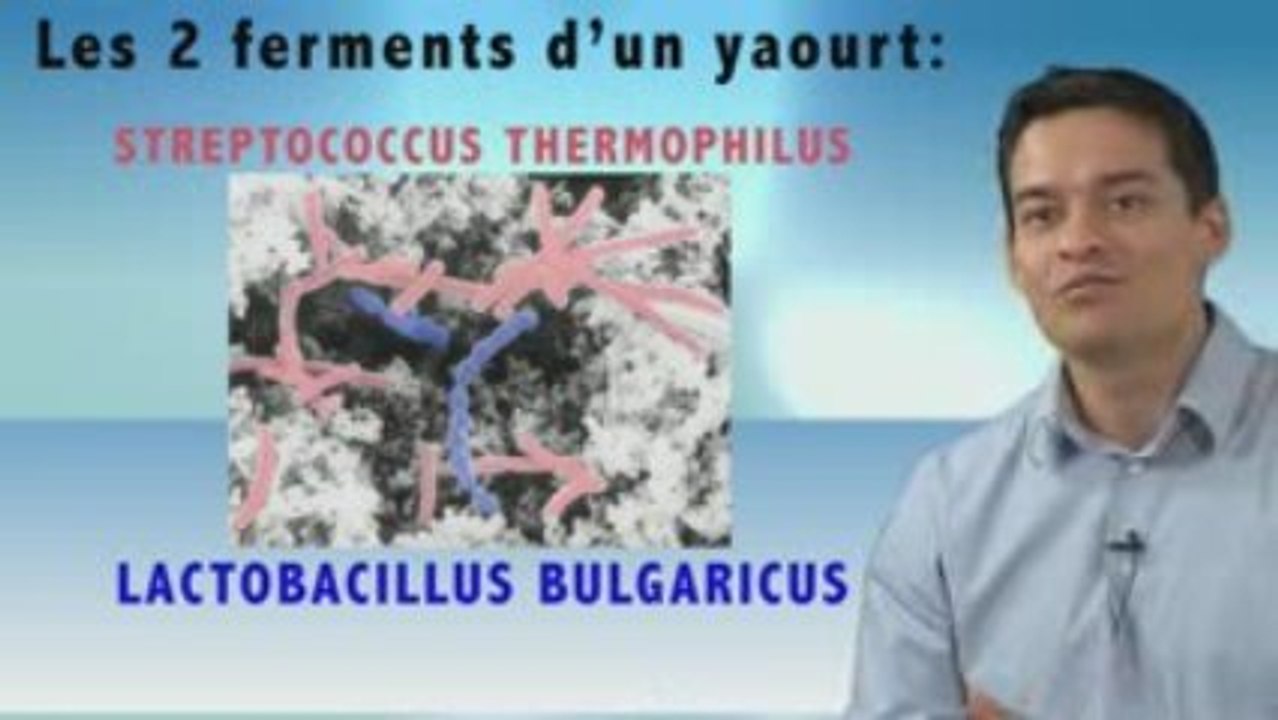 la fermentation V3 HD modifié