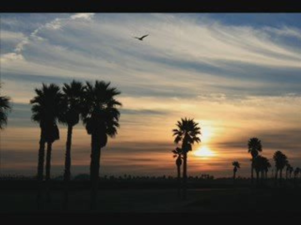 Coriphaeus - on distant shores (intro)