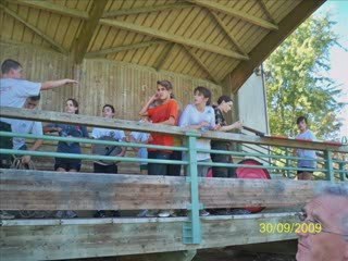 clip sport adapté 31 10 09