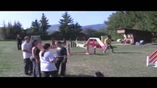 Alaska Open Agility Villefranche 04/10/2009