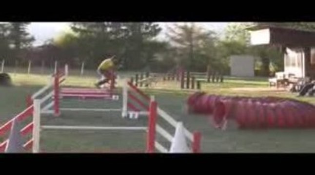 Alaska Jumping Agility Villefranche 04/10/2009