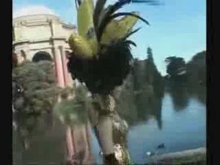 musical revue San Francisco  CA Beach Blanket Babylon