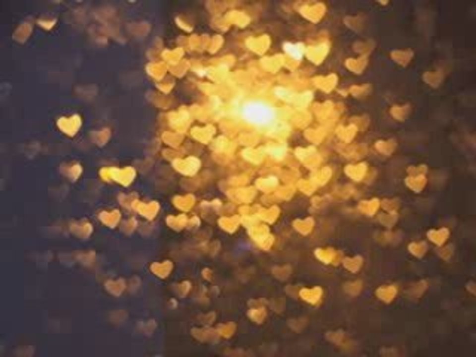 Rainy Lights