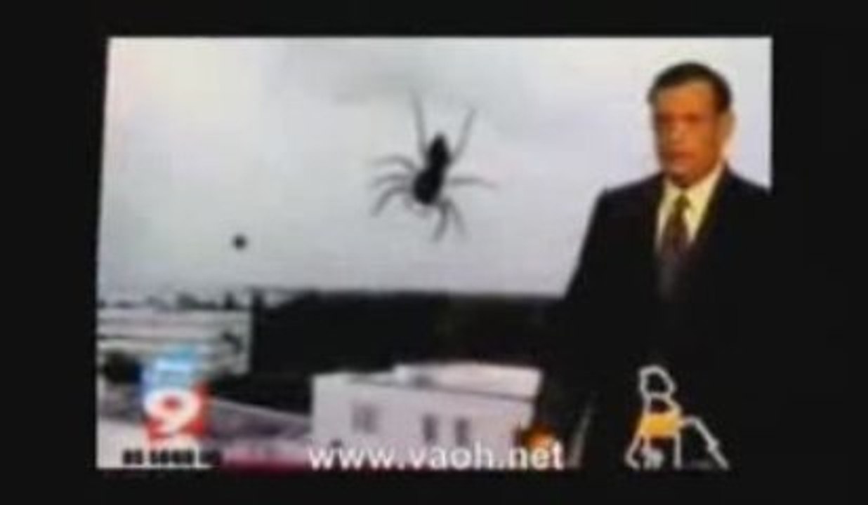 Giant Spider Win