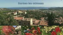 Côte d'Azur: Bormes-les-Mimosas