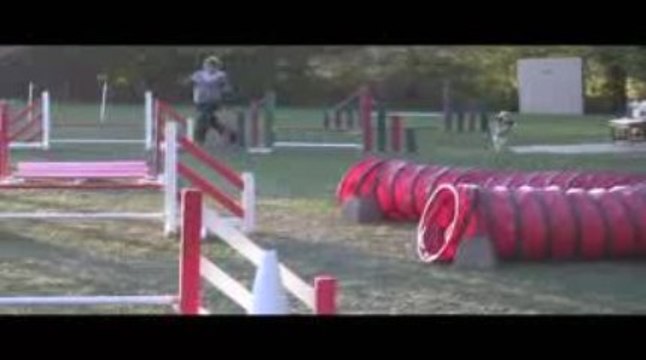 Astro Jumping Agility Villefranche 04/10/2009
