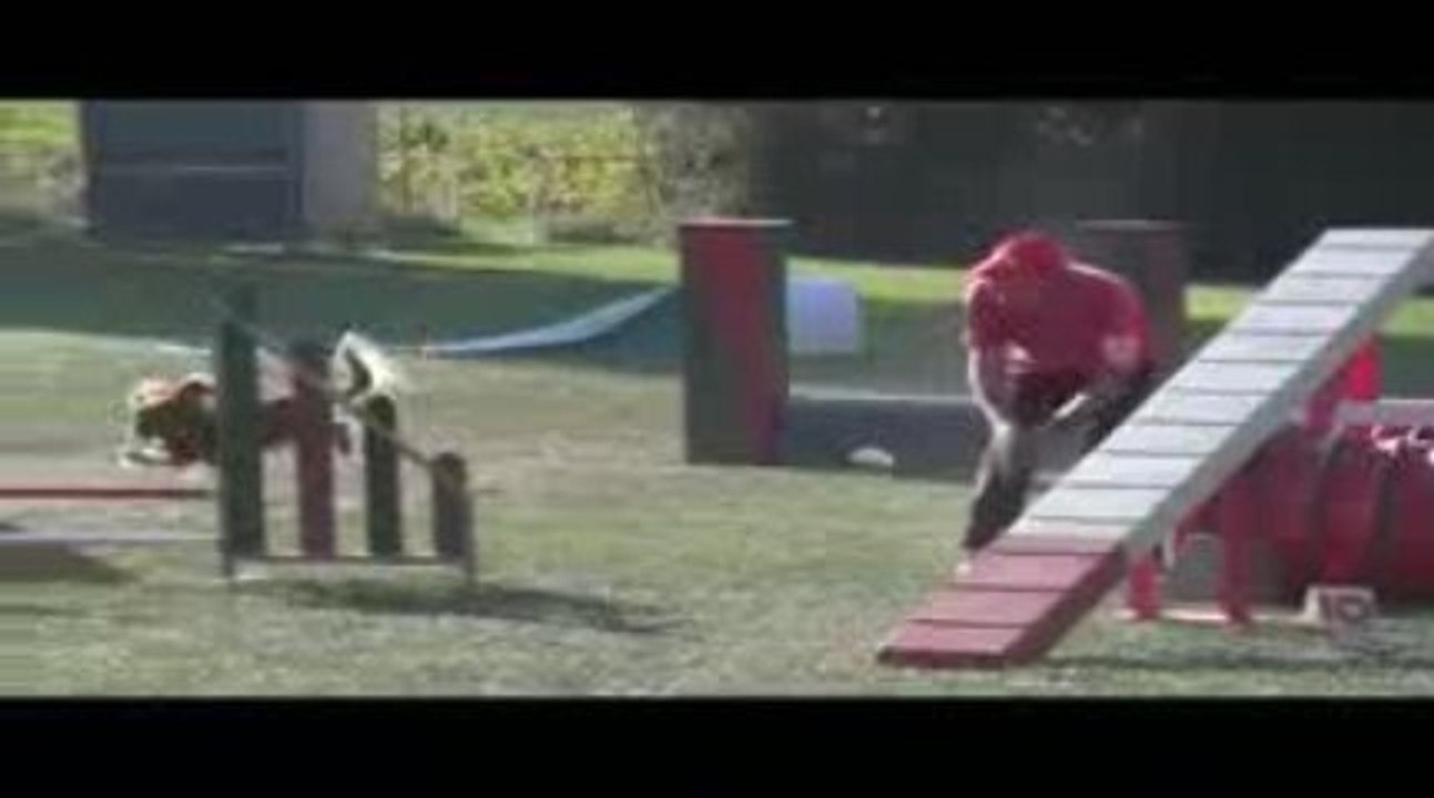 Bango Open Agility Villefranche 04/10/2009